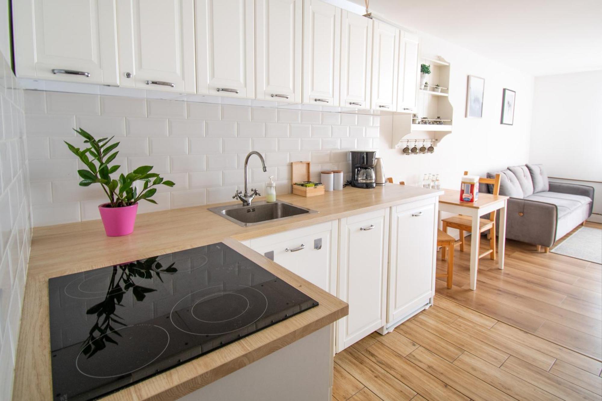 Apartament Przy Zdrojowej Ciechocinek Exteriér fotografie
